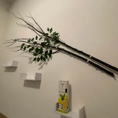 Lägenhet La Casa Dei Cedri 2